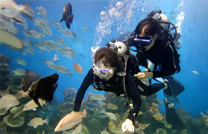 海洋馆小小潜水员