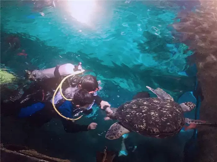 海洋馆小小潜水员