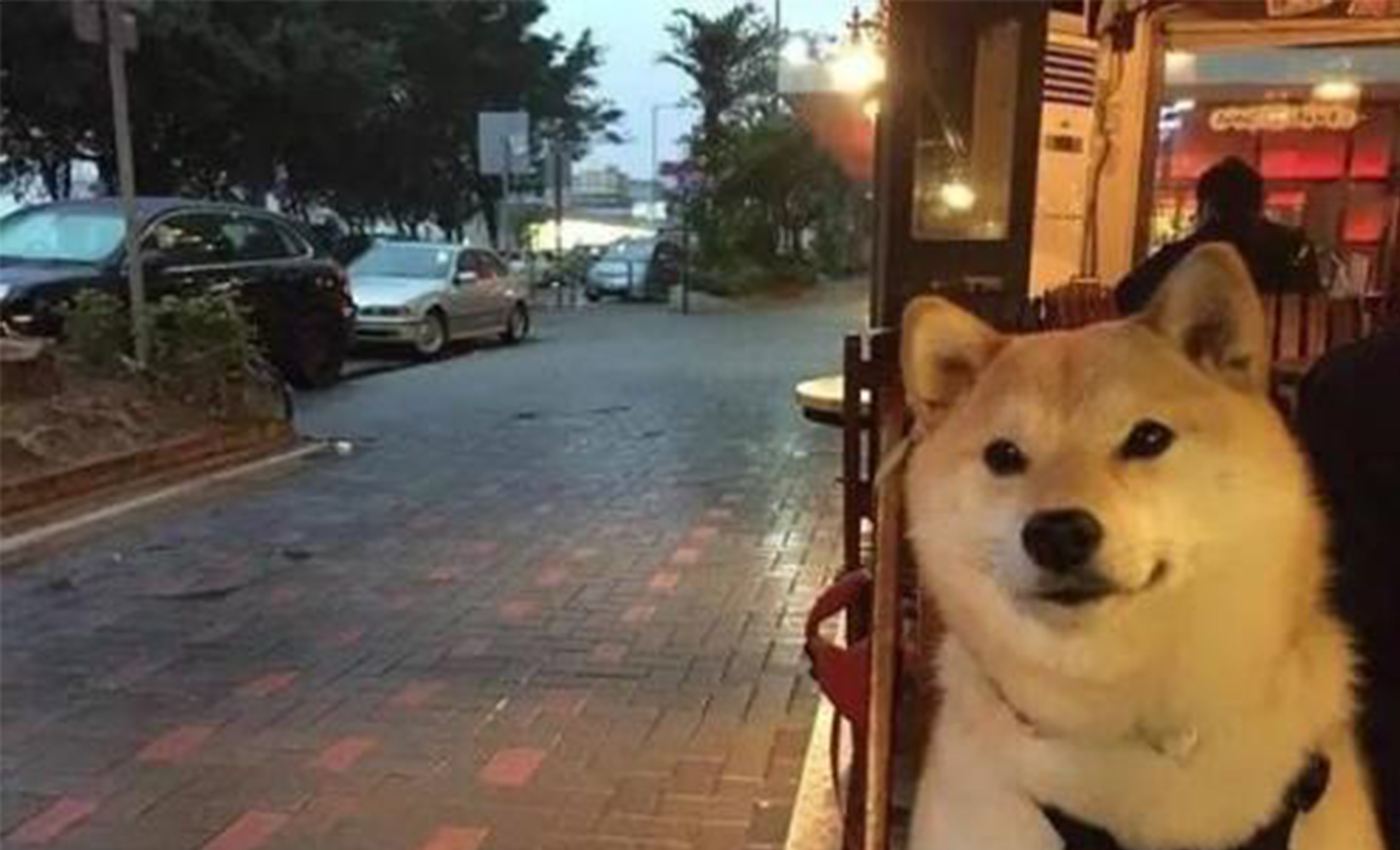 2021光棍节唱给单身汪成都演唱会门票价格、演出时间、活动详情