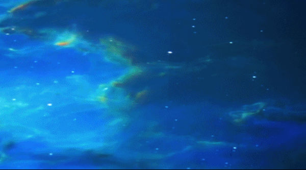 星光漫步-喵星降临