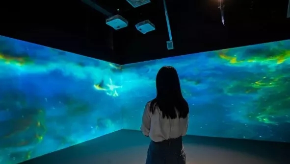 星光漫步-喵星降临