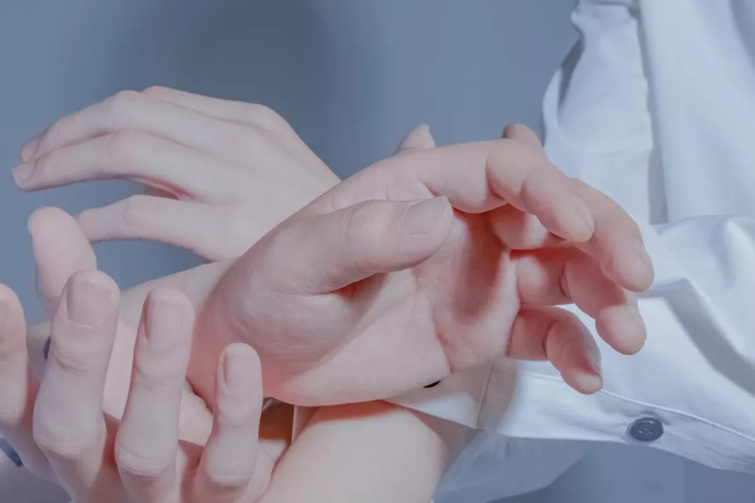 2019厨子和戏子武汉演唱会