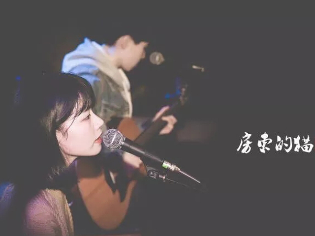 2019房东的猫重庆演唱会