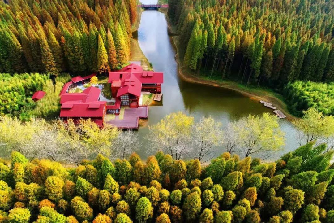 2023黄海森林音乐节门票预定及在线订票 2023黄海森林音乐节门票预定及在线订票