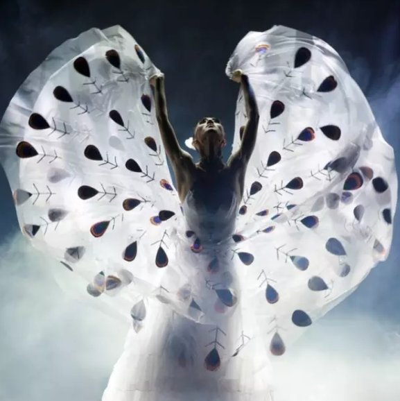 2021歌舞剧云南映象深圳站门票在哪买？