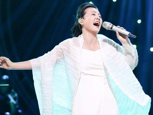 龚琳娜鞍山演唱会