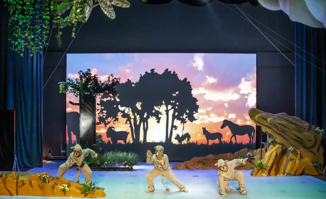 2019儿童剧狮子的荣耀重庆站