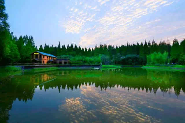 2023黄海森林音乐节预定网址及演出详情 2023黄海森林音乐节预定网址及演出详情