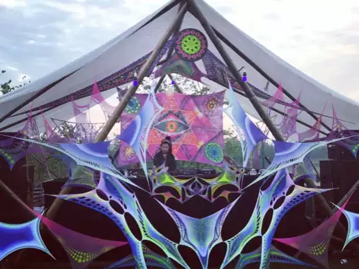 油画大草原电音节