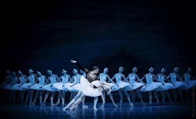 《天鹅湖》