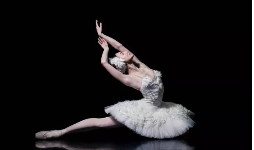 2022芭蕾舞剧天鹅湖上海站门票价格是多少？在哪买票？