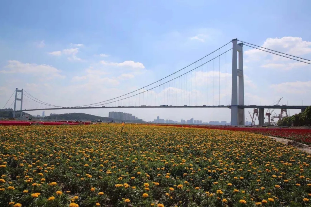 生态滨江靖江音乐节