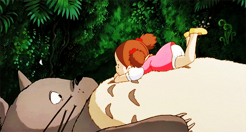 龙猫的音乐之旅