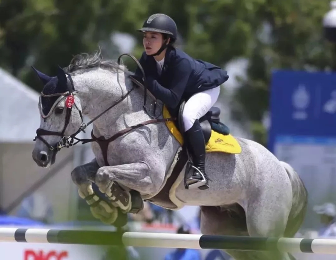 军人运动会-马术障碍赛