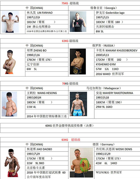 武林风搏击世界杯