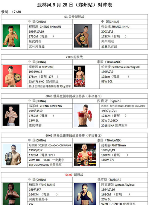 武林风搏击世界杯