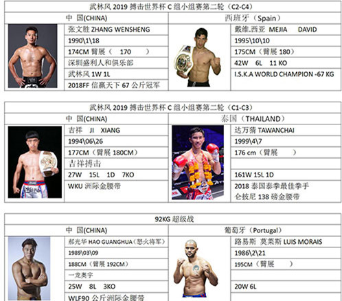 武林风搏击世界杯