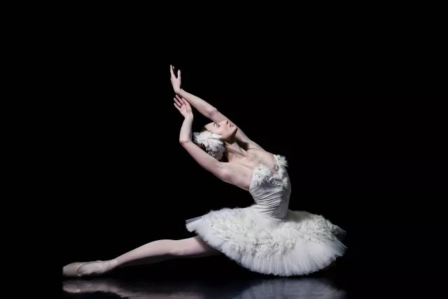 芭蕾舞剧天鹅湖