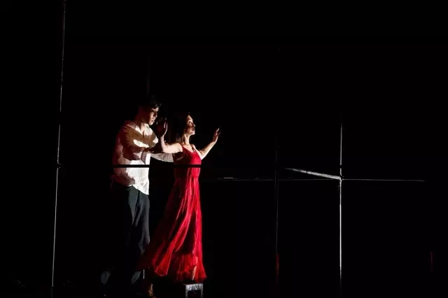 《恋爱的犀牛》