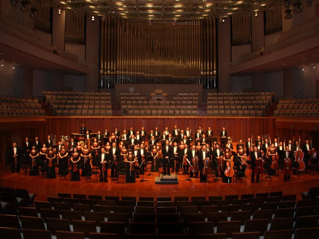 2019绿叶对根的情意石家庄音乐会