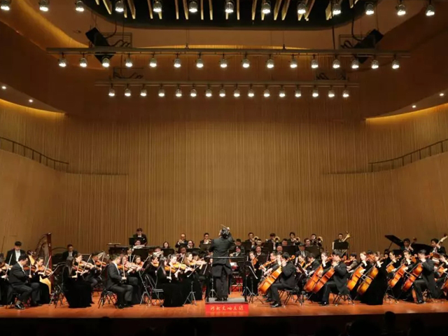 2019绿叶对根的情意石家庄音乐会