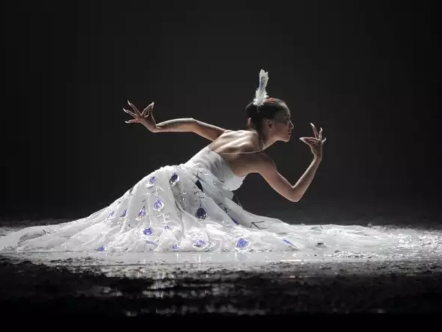 2021杨丽萍经典作品云南映象深圳站门票、时间、地点 2021杨丽萍经典作品云南映象深圳站门票、时间、地点