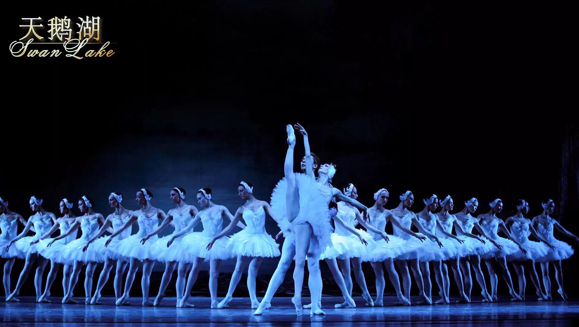 《天鹅湖》