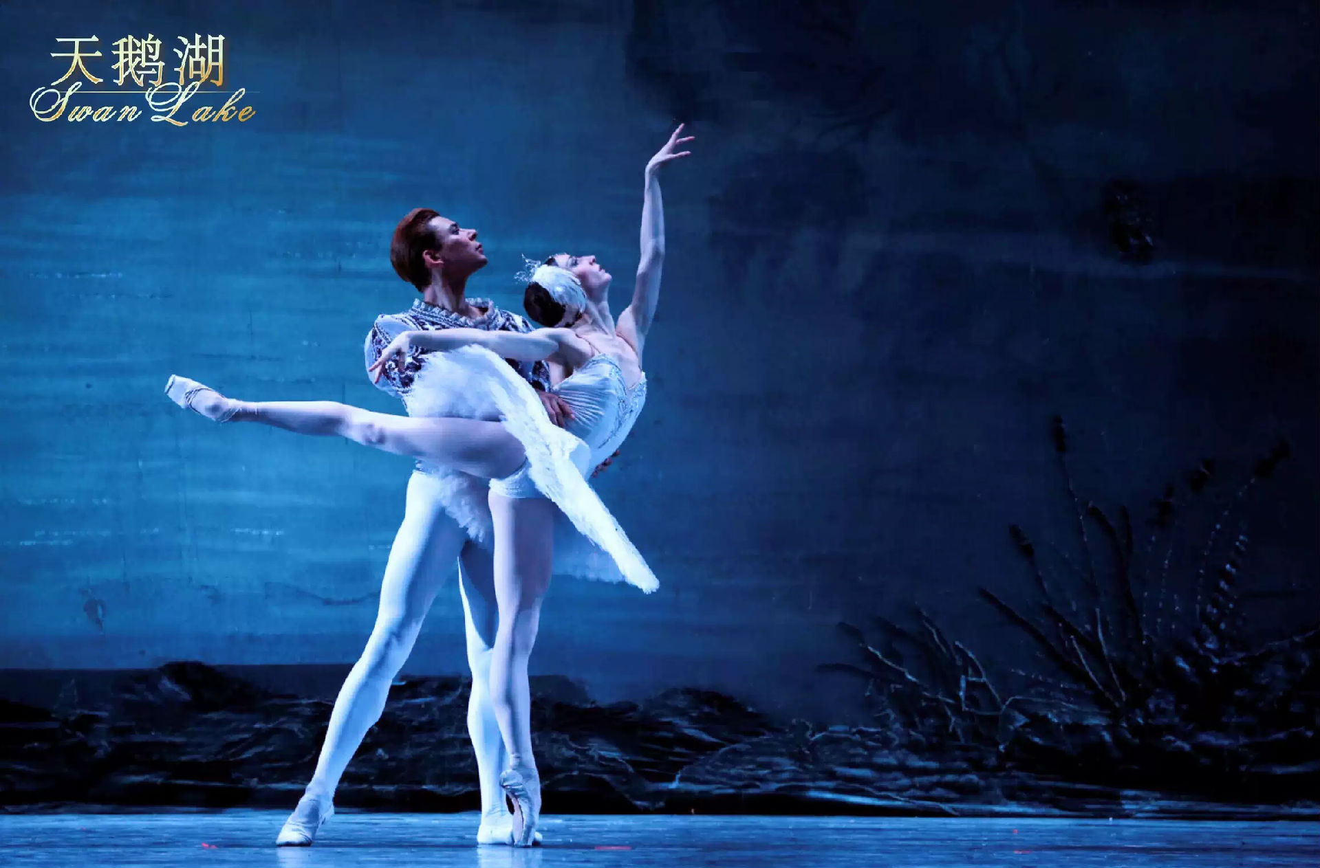 《天鹅湖》