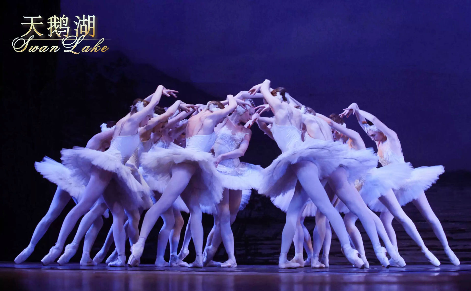 《天鹅湖》