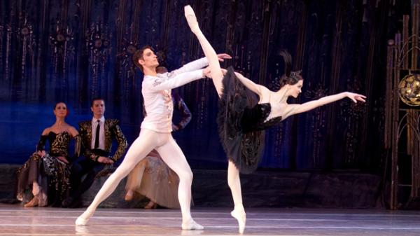 《天鹅湖》