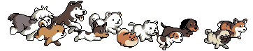 刘莉旻赵美丽西安演唱会2019