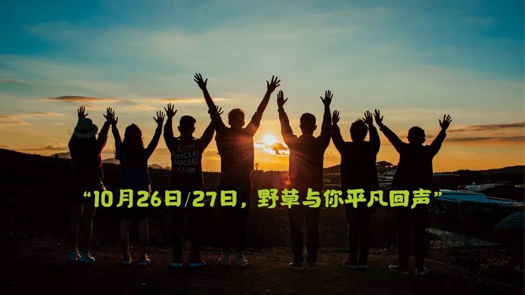 2019重庆野草音乐节