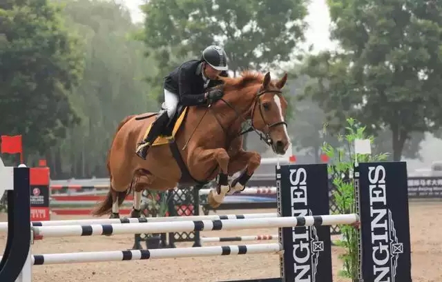 马术场地障碍赛成都站