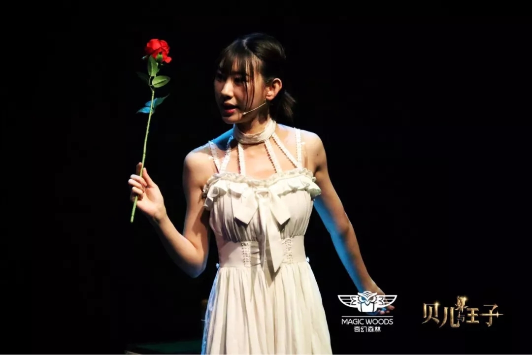 2019魔术剧贝儿与王子北京站