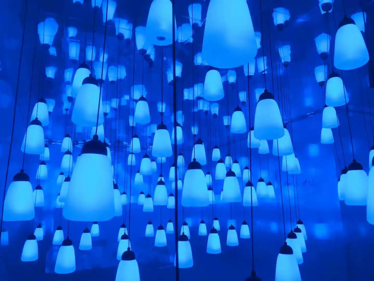 大树小虫艺术展
