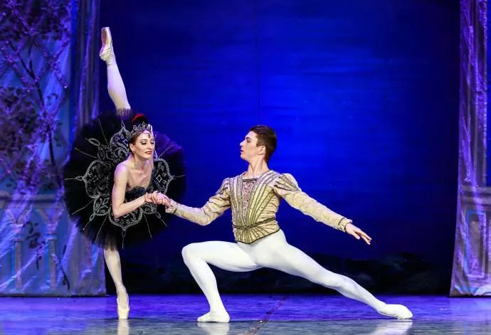 2019芭蕾舞剧天鹅湖哈尔滨站