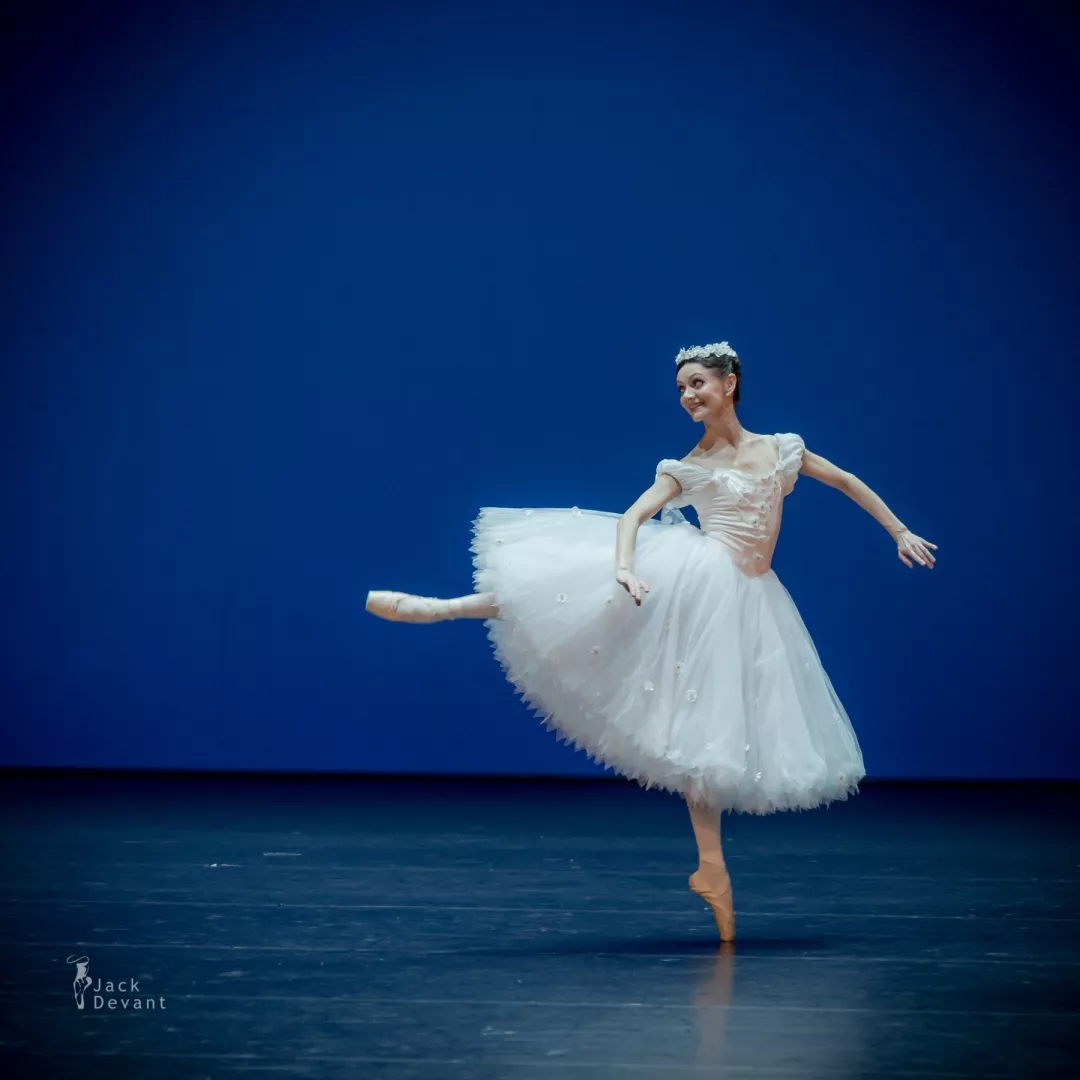 芭蕾新年精品舞蹈荟萃