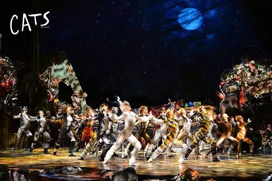 2021原创儿童音乐剧中文版《猫》-上海站 2021原创儿童音乐剧中文版《猫》-上海站