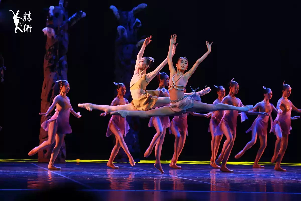 2019芭蕾舞剧精卫北京站