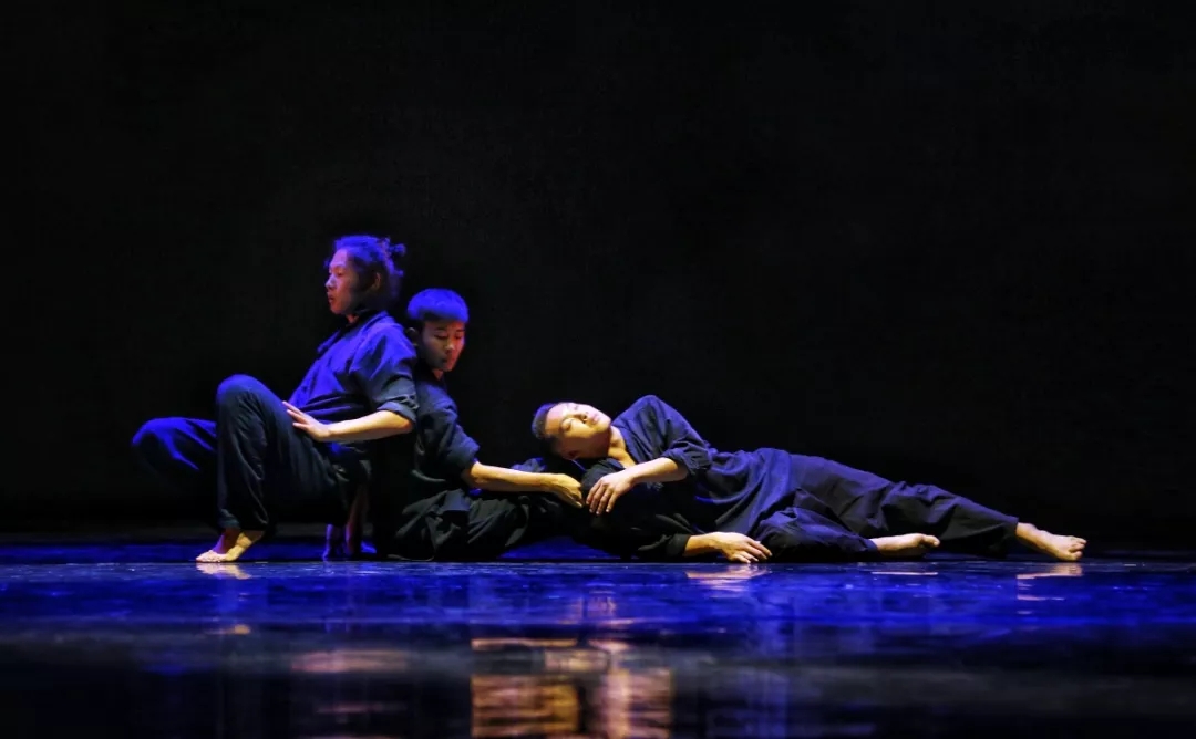 2021胡沈员作品 现代舞剧《流浪》-上海站