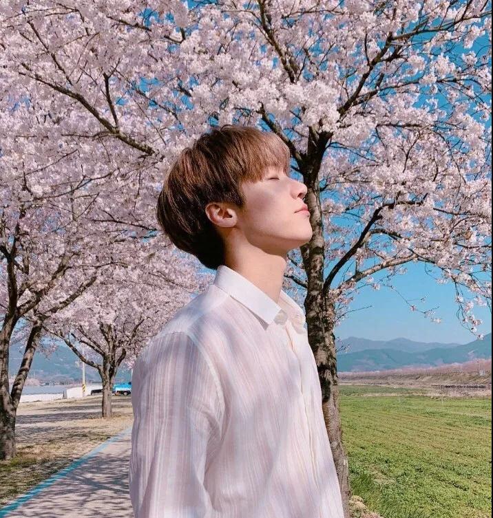 N Flying澳门演唱会