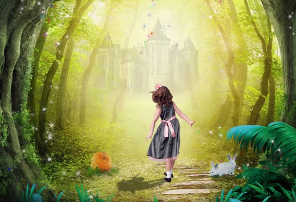 《树洞的秘密》