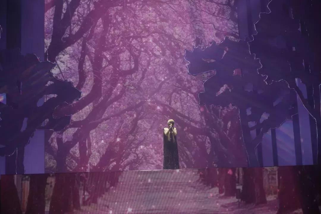 2020陈慧娴深圳演唱会