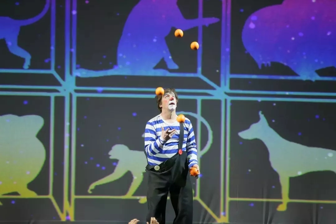 小丑动物嘉年华