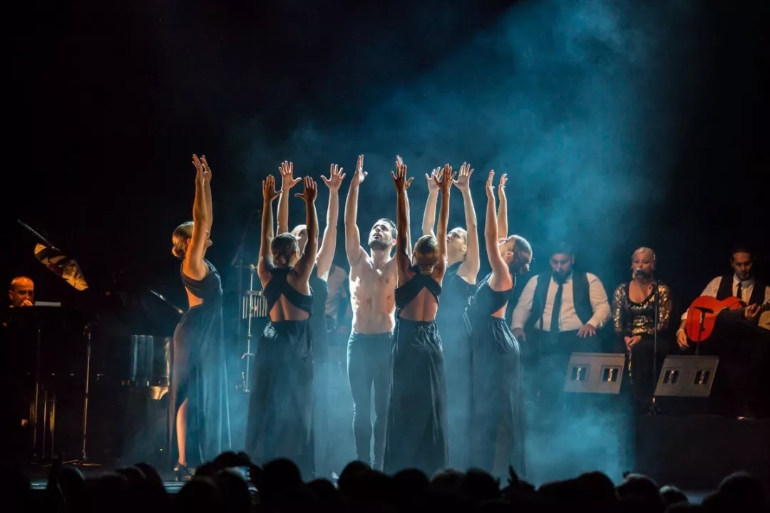 《弗拉门戈之浴火重生》