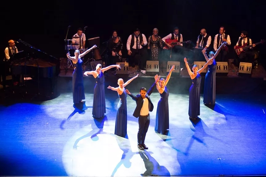 《弗拉门戈之浴火重生》