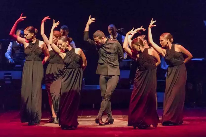 《弗拉门戈之浴火重生》