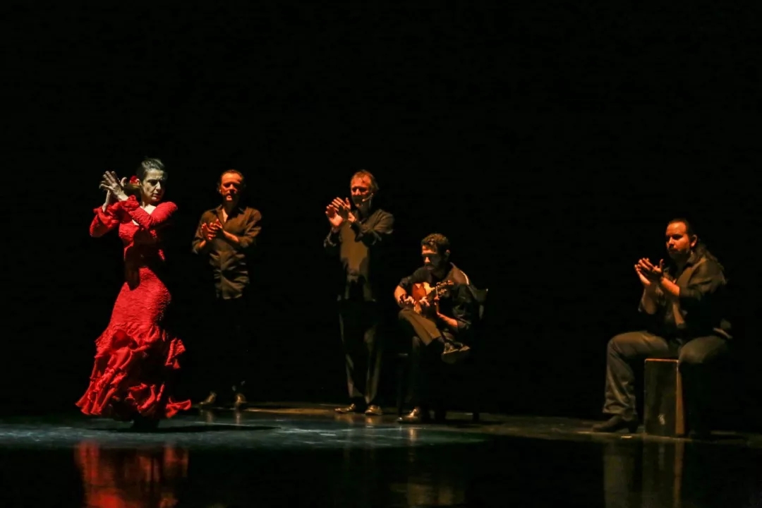 《弗拉门戈之浴火重生》