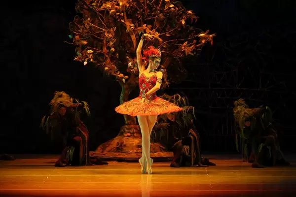 芭蕾舞剧福金三部曲