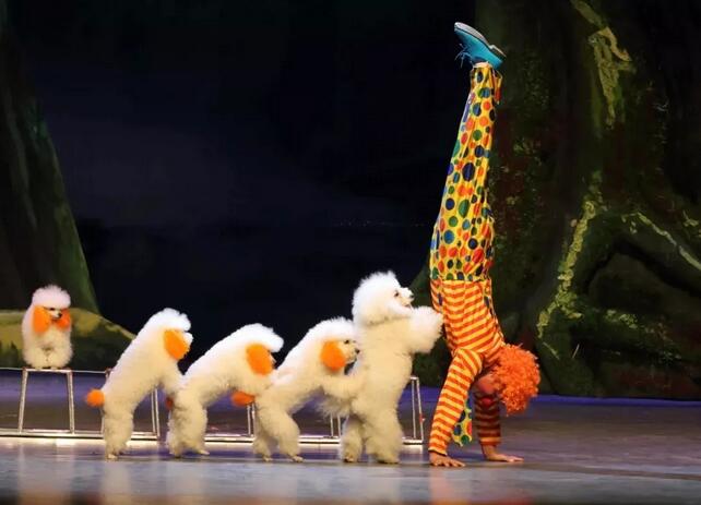 《小丑动物嘉年华之反斗动物城》